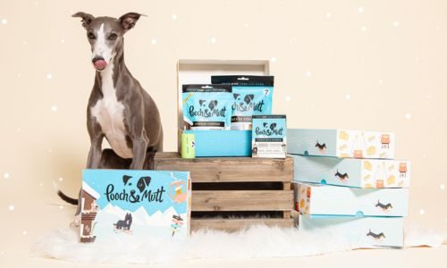 Offer Image - Pooch and Mutt Christmas 3