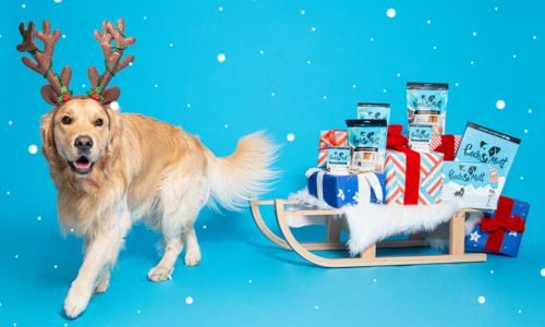 Offer Image - Pooch and Mutt Christmas 4