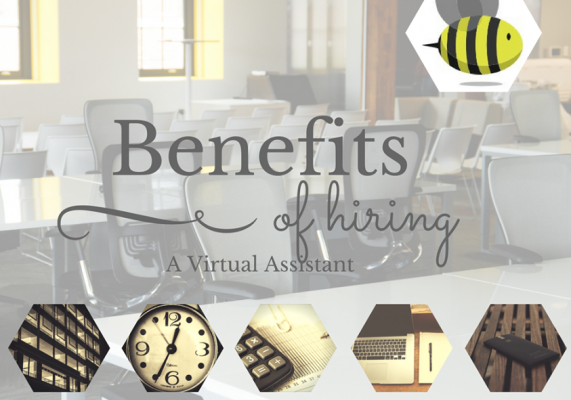 Bee Professional Services C2