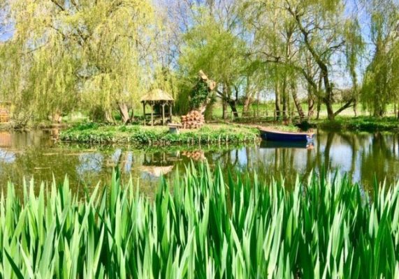 The Meadow Glamping C4