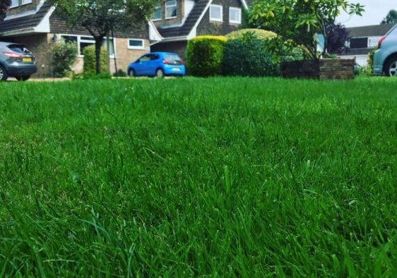 North Hampshire Lawn Treatments Ltd C1